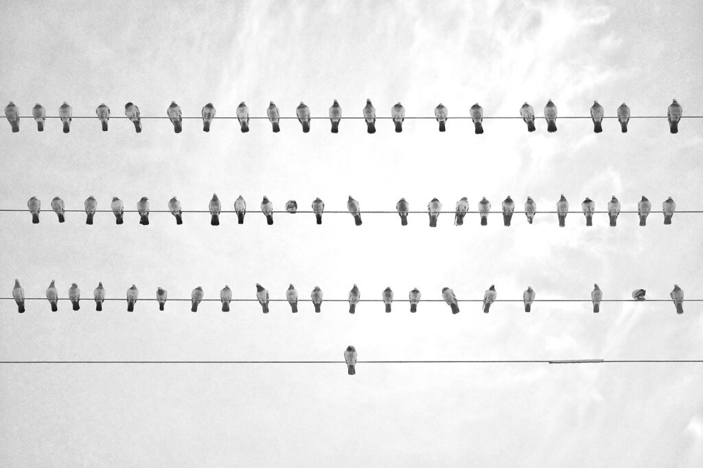 kracht van positief denken